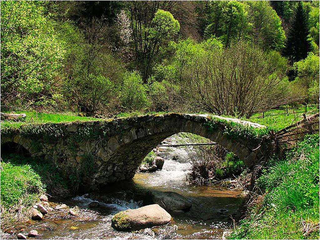 Family Hotel Valchanovata Kashta Fotinovo Bagian luar foto